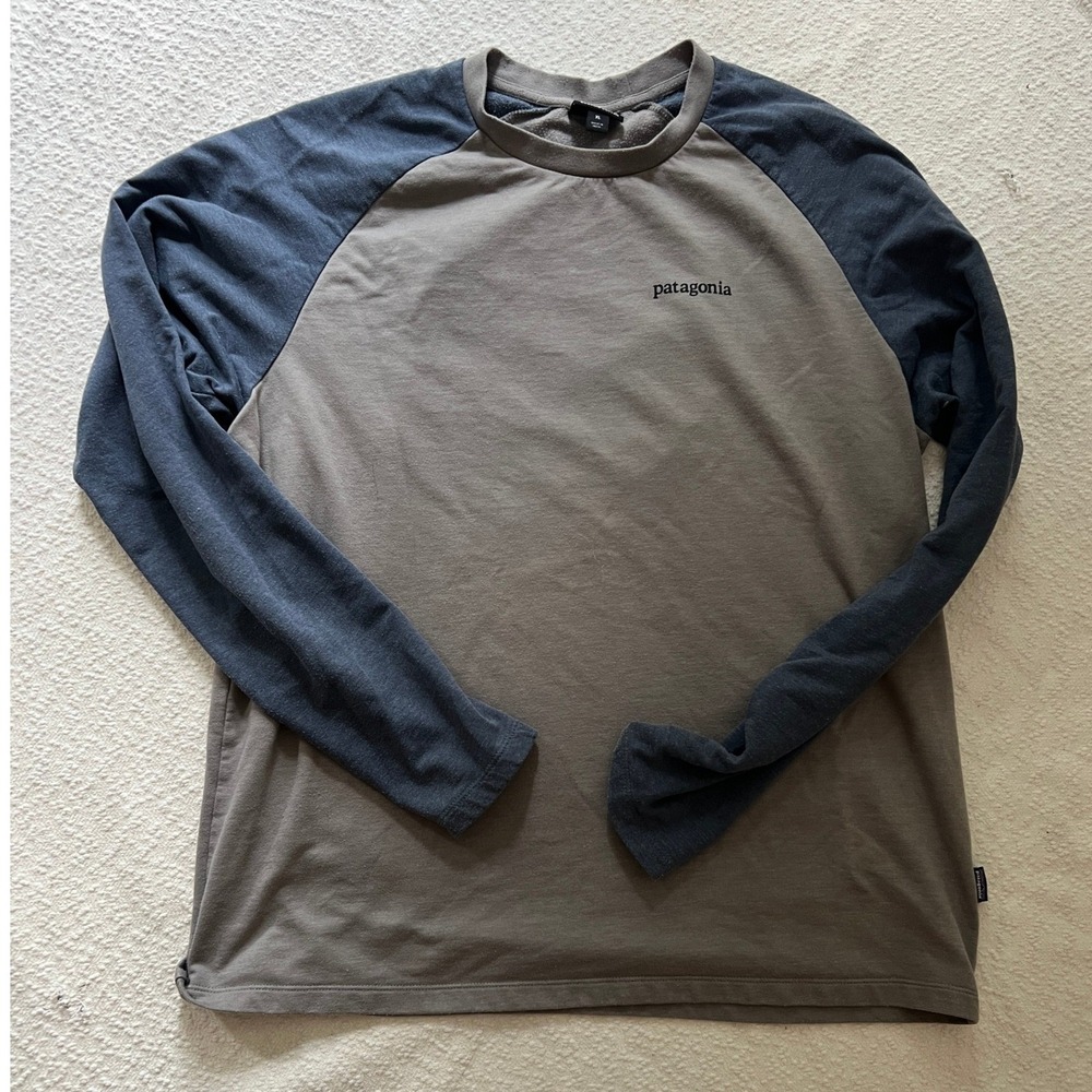 Patagonia Men's Long Sleeve Graphic Raglan T-Shirt